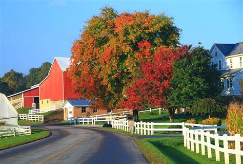 Amish Barn In Autumn Photograph By Dan Sproul