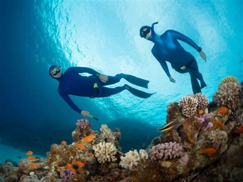 Diving In The Red Sea Cultural Features Famous Cultural