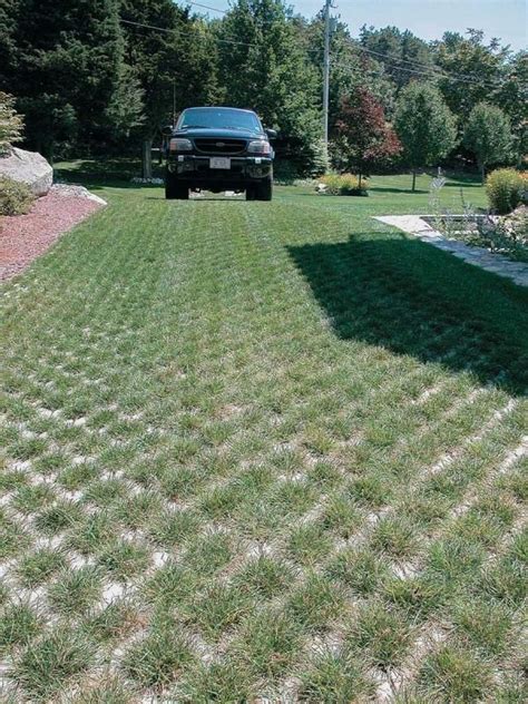 Permeable Pavers In 2020 Permeable Driveway Backyard