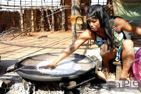 Preparing Manioc Bread Kalapalo Indios Mato Grosso Brazil South