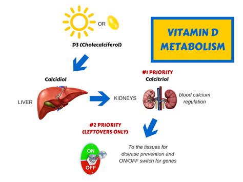 Vitamin d3 side effects (od): Vitamin D3 Benefits - Botanicals One