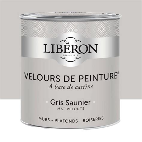 Peinture LibÉron Velours De Peinture Gris Saunier Pas Cher