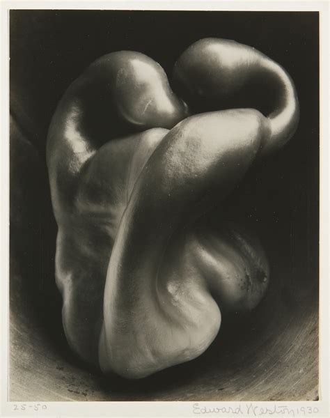 Edward Weston Pepper No 30 Analysis - Edward Weston, Pepper (no. 30) (150-250k) 341k USD