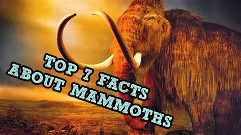 Top 7 Facts About Mammoths Youtube