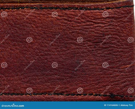 Leather Skin Texture Macro Texture Stock Photo Image Of Design