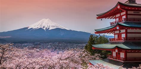 Best Time To Visit Japan Cool Travel Vibes