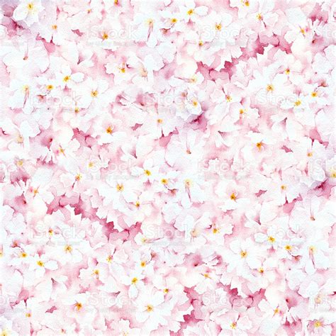 Pastel Pink Floral Background Stock Vector Art And More