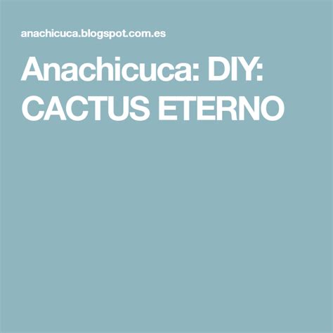 Anachicuca Diy Cactus Eterno Diy