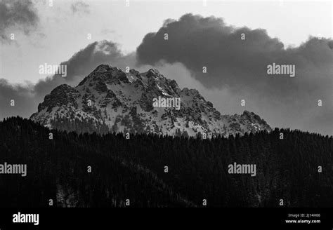 Grayscale Mystic View Of A Rocky Mountain Peak And Lush Forests On