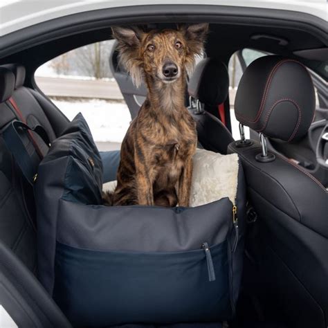 De Beste Honden Autostoel Van 2023 Alles Voor Je Labradoodle