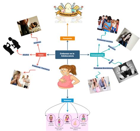 Mapa Conceptual De Las Etapas Del Embarazo Y Sus Caracteristicas Images And Photos Finder