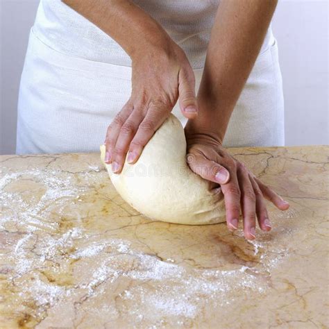 Woman Kneading Dough Stock Photos Image 23708373