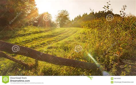 Peaceful Countryside In Sunlight Stock Image Image Of Country Nature