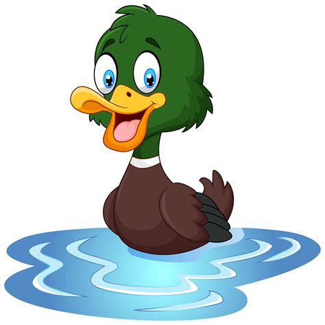 Duck Png Animated Domestic Duck Bird Goose Ducks With Duckling