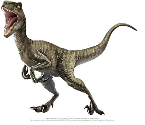 Jurassic World Primal Ops Velociraptor Png By Jurassicworldcards On Deviantart