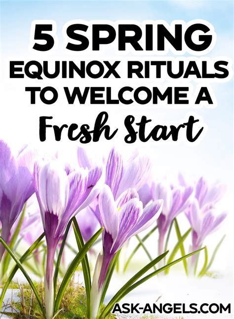 5 Spring Equinox Rituals Celebrate The Start Of Spring Ask Angels
