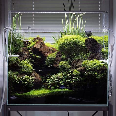 There is simply no better, no more spectacular way to aquascape your marine or reef aquarium. Aquascape Ideas: Nano Aquascape Ideas in 2020 | Aquascape ...