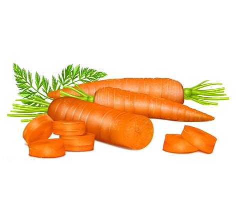 Cup clipart carrot, Cup carrot Transparent FREE for ...