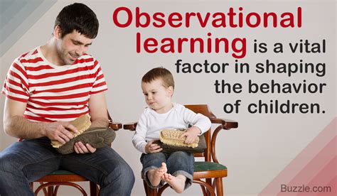 Understanding The Theory Of Observational Learning With Examples
