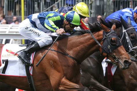 The Championships Day 1 Tips Randwick Races 742018 Sports News