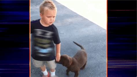 Most Hilarious Gifs Ever World S Most Hilarious Gifs Had Us Rofl