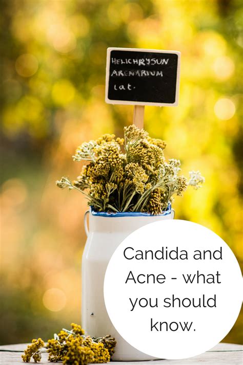 Candida And Acne 4 Reasons Your Acne Might Be Caused By Candida