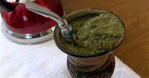 Yerba Mate This Weird Green Herbal Drink Has Many Health Benefits