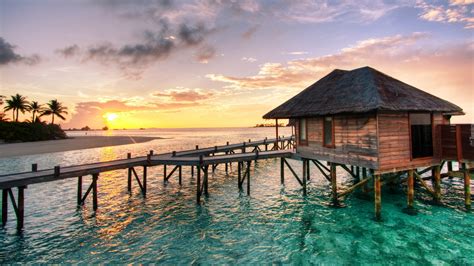 Free Honeymoon Travel Sea Tropics Full Hd Hdtv 1080p