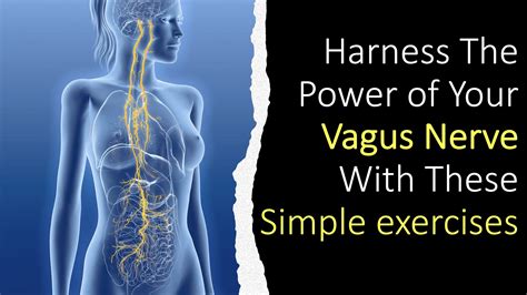 Is Your Brain Gut Axis Compromised Exercises To Activate Your Vagus