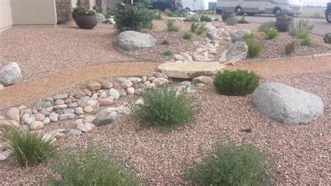 Why You Should Consider Xeriscaping Paradise Outdoor Landscaping