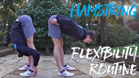 Beginner Hamstring Flexibility Routine Youtube