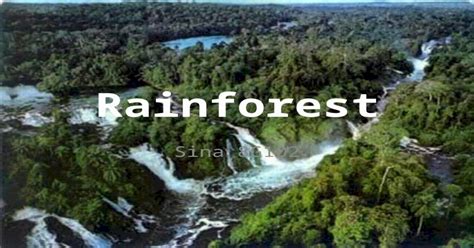 Sina 8g102 Why Tropical Rainforests Took Between 60 And 100 Million