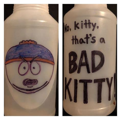 I Decorated My Cats Spray Bottle Rsouthpark