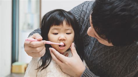Dental Care For Toddler Teeth And Gums Raising Children