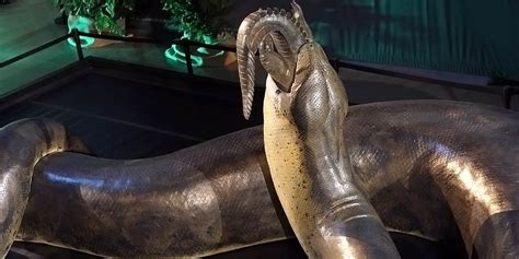 Titanoboa The Largest Snake
