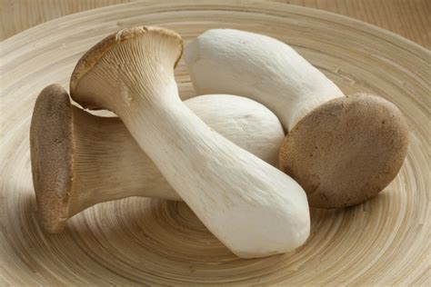 The Complete Guide To King Oyster Mushrooms Easy Recipes Grocycle