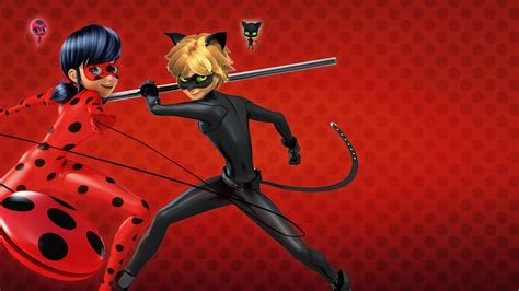 Cat Noir Miraculous Ladybug Hd Wallpapers Background Images The Best