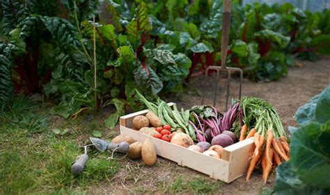 Alan Titchmarshs Tips On Creating The Perfect Kitchen Garden Express