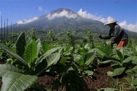 Maka dari itu, negara kita sangat kaya dengan bentang alam. Selalu Percaya Bahwa Negara Kita Kaya Sumber Daya Alam itu ...