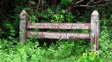 History Today June Ujung Kulon National Park Designated As A