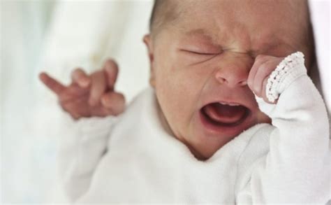 El Llanto Del Bebé Cómo Interpretar Y Calmar El Llanto De Un Bebé