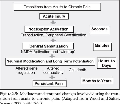 Figure 27 From 2 Pathophysiology Of Acute Pain Semantic Scholar
