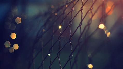 Depth Of Field Fence Hd Wallpapers Desktop And Mobile Images And Photos