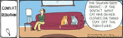 Conflict Resolution Smiles And Laughs Comic Animal Funny Thoughts