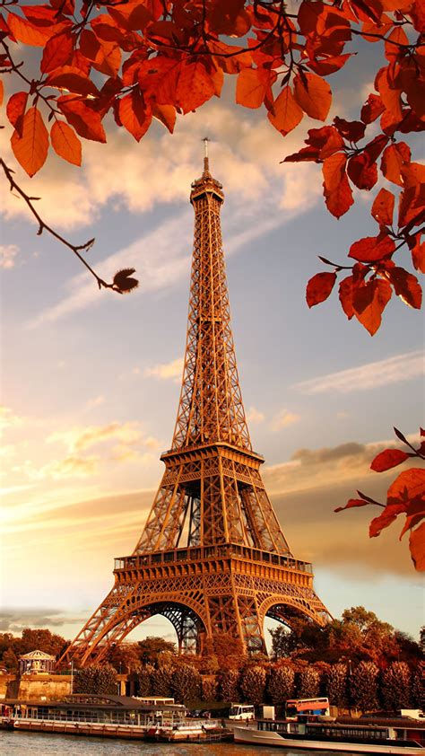 Fond Decran Smartphone Tour Eiffel Arbre Magnifique