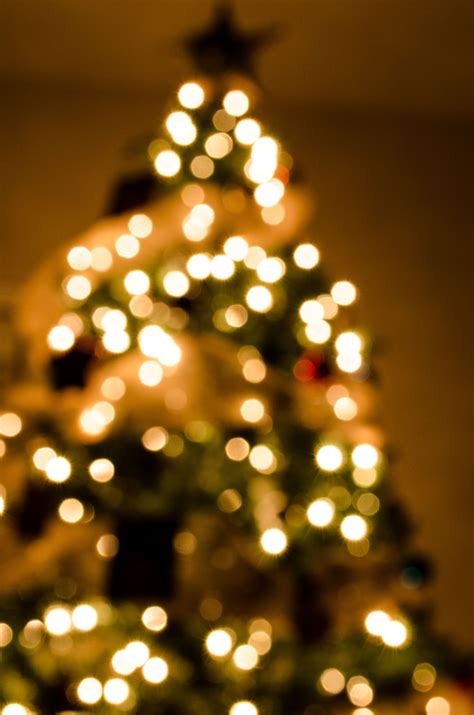 Christmas Bokeh Christmas Lights Christmas Tree Lighting Christmas