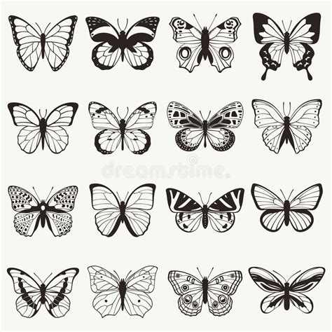Drawing Butterflies Stencil Butterfly Moth Wings And Flying Insects