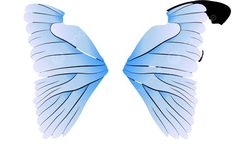 Butterfly Wings Illustration Morpho Isolated Vector Illustration