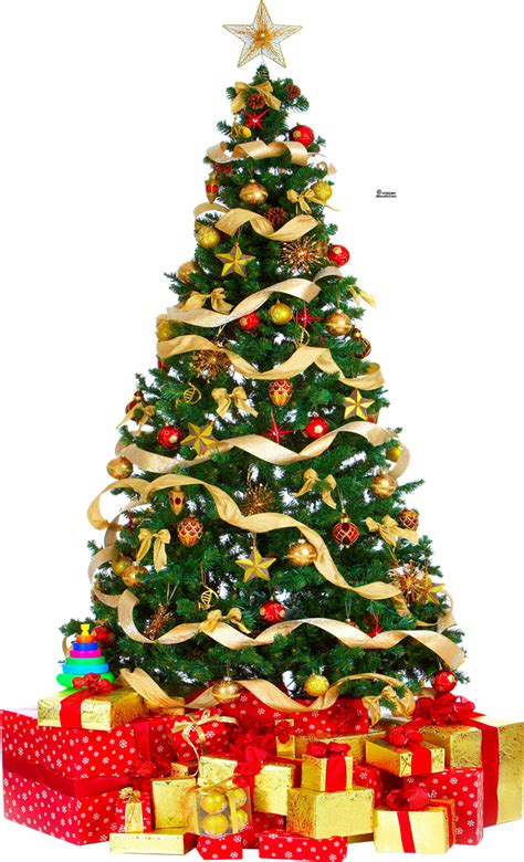 Christmas Tree Png Free Download Png Mart