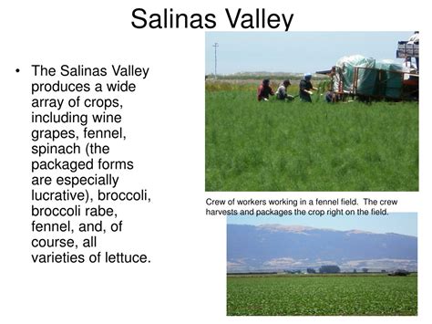 Ppt Salinas Valley Of California Powerpoint Presentation Free